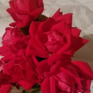 Meet your Posher, Avia